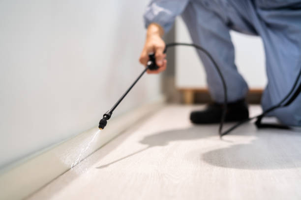 Licensed Termite Control service in Keyser, WV - Nex Pest Control