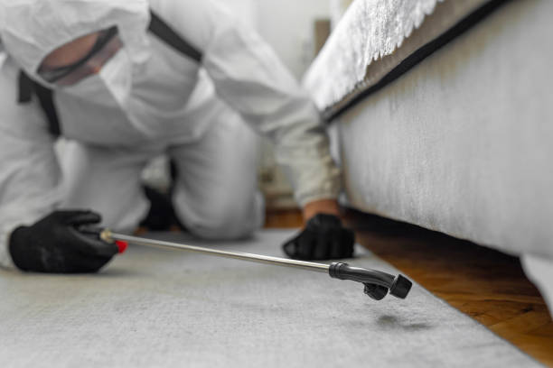 Professional Termite Control technician working in Keyser, WV