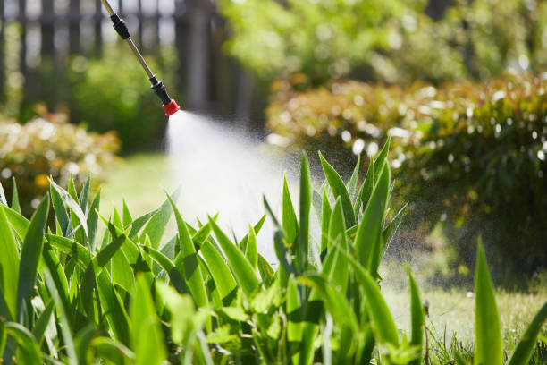 24/7 Emergency Termite Control experts in Keyser, WV