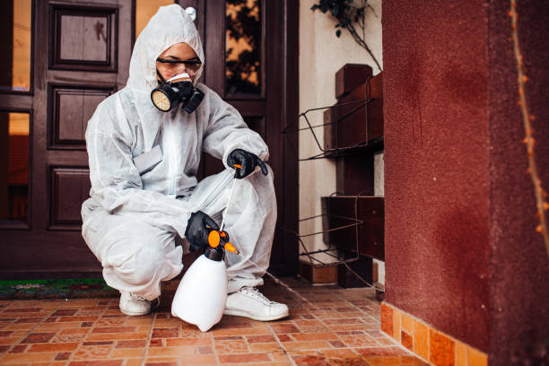 Reliable Termite Control contractor in Keyser, WV by Nex Pest Control